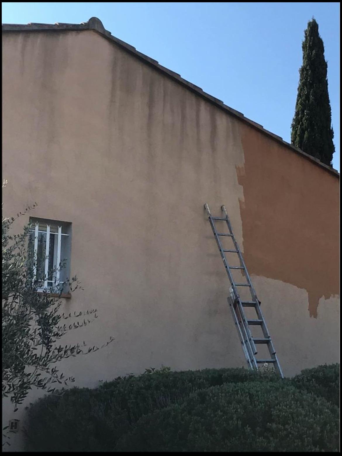 Left Image